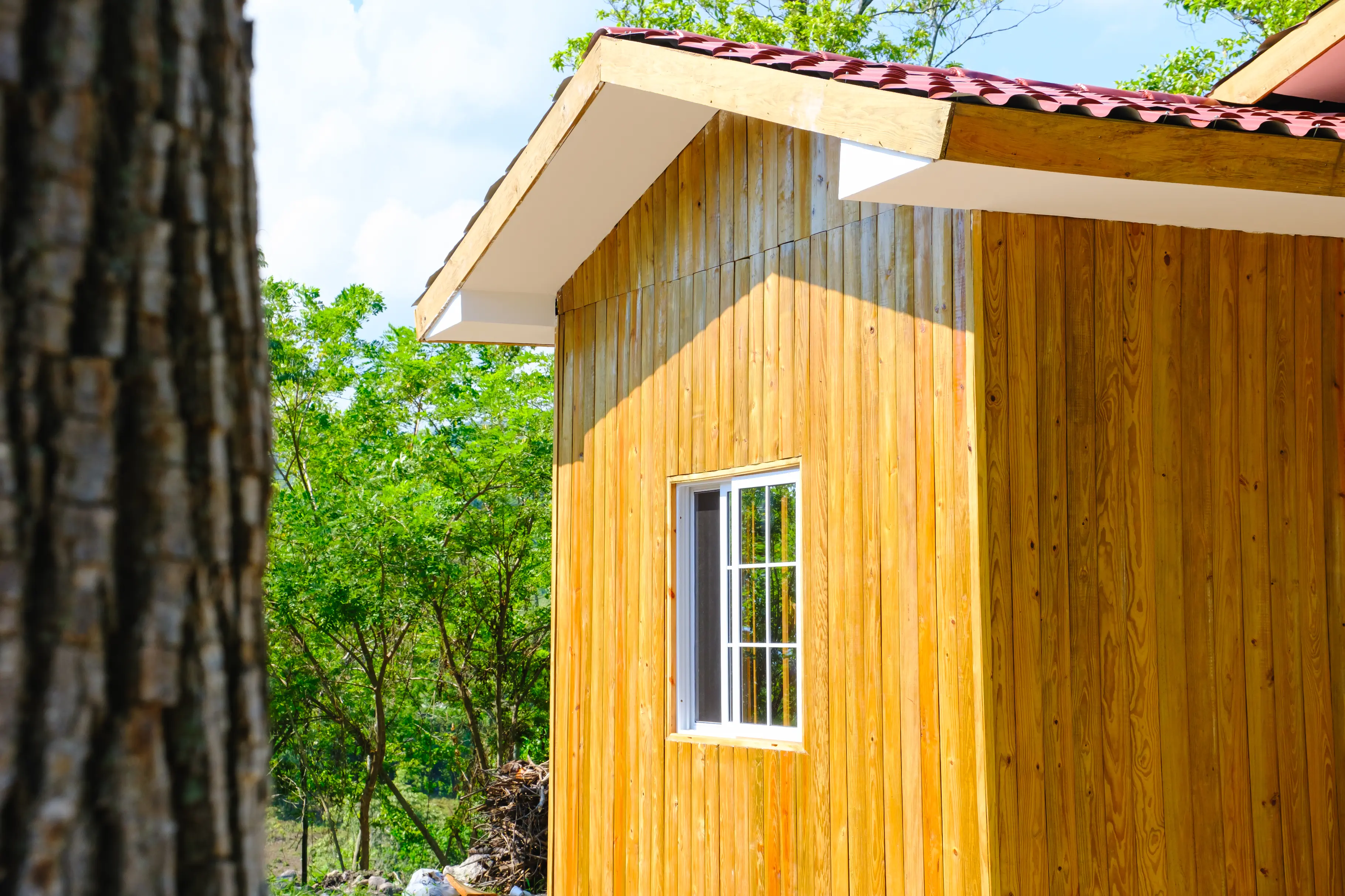 Retiro de Montaña - Imagen 6